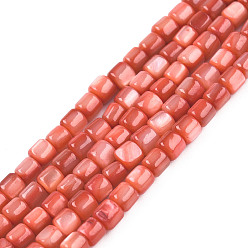 Salmon Natural Freshwater Shell Beads Strands, Dyed, Column, Salmon, 3.5x3~3.5mm, Hole: 1mm, about 111~117pcs/strand, 14.37 inch~14.65 inch(36.5~37.2cm)