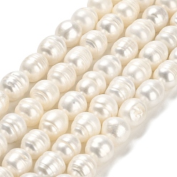 Floral White Natural Cultured Freshwater Pearl Beads Strands, Rice, Grade AB, Floral White, 11~12x10~10.5mm, Hole: 0.5mm, about 29~31pcs/strand, 14.37~14.45 inch(36.5~36.7cm)