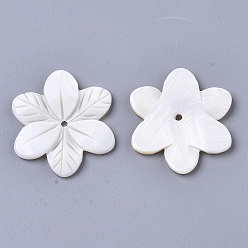 Creamy White Natural Freshwater Shell Beads, Carved, Flower, Creamy White, 29~30x26x3mm, Hole: 1.6mm