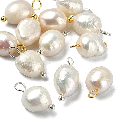 Golden & Silver 12Pcs 2 Colors Natural Pearl Potato Charms, with Brass Loops, Golden & Silver, 13~15x6~8x6mm, Hole: 2.8mm, 6pcs/color
