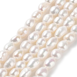 Seashell Color Natural Cultured Freshwater Pearl Beads Strands, Two Side Polished, Grade 4A+, Seashell Color, 7~8x8~9.5mm, Hole: 0.7mm, about 42~43pcs/strand, 14.17''(36~36.5cm)