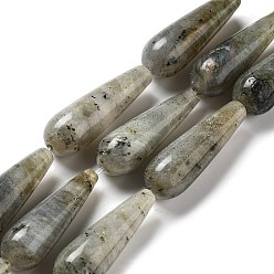 Labradorite Chapelets de perles labradorite naturelle , larme, 30~30.5x10~10.5mm, Trou: 1.4mm, Environ 6 pcs/chapelet, 7.13~7.20 pouce (18.1~18.3 cm)