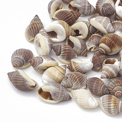 Other Sea Shell Sea Shell Beads, No Hole/Undrilled, 8~14x5~10x5~7mm, about 770pcs/274g