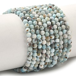 Ларимар Природные ларимар бисер нитей, граненые, круглые, 3 мм, отверстие : 0.6 мм, около 120~135 шт / нитка, 14.96''~15.5'' (38~39 см)
