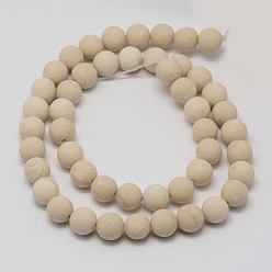 Fossil Natural Fossil Beads Strands, Frosted, Round, 6mm, Hole: 0.8mm, about 60pcs/strand, 15 inch