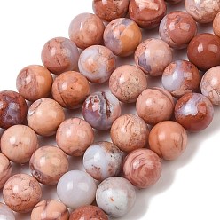 Натуральный Агат Натуральный розовый агат бисер нитей, круглые, 10 мм, отверстие : 1.4 мм, около 36 шт / нитка, 14.96'' (38 см)