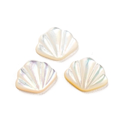 Blanc Cabochons de coquillages naturels, forme coquille, blanc, 7x8.5x2mm