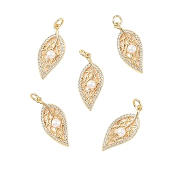 Настоящее золото 18K Подвески Shegrace из латуни с микропаве и прозрачными кубическими циркониями, с пластмассовой жемчужиной abs, лист прелести, без свинца, без кадмии и без никеля, реальный 18 k позолоченный, 26x11x5 мм, отверстие : 3 мм