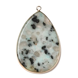 Джаспер Кунжут Натуральные кунжутные яшмы большие подвески, Подвески-капли в позолоченной латунной оправе, 54.5~55x35.5x3 мм, отверстие : 2 мм