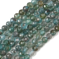 Apatite Natural Apatite Beads Strands, Round, Faceted, Grade A, 5mm, Hole: 0.5mm, about 72pcs/strand, 15.16''(38.5cm)