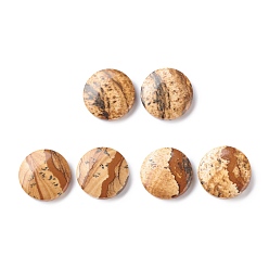 Picture Jasper Natural Picture Jasper Cabochons, Flat Round with Pattern, 15x4mm, about 2pcs/pair