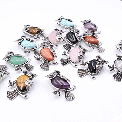 Mixed Stone Natural & Synthetic Mixed Stone Pendants, Antique Silver Plated Metal Owl Charms, 35~45mm