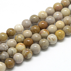 Fossil Coral Natural Fossil Coral Beads Strands, Round, 6~7mm, Hole: 1mm, about 60~67pcs/strand, 15.7 inch