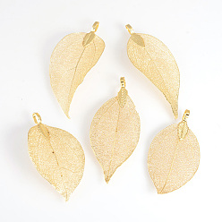 Golden Plated Electroplated Natural Leaf Big Pendants, with Iron Findings, Golden Plated, 50~80x20~35x1mm, Hole: 3x6mm