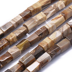 Petrified Wood Natural Petrified Wood Beads Strands, Hexagonal Prism, 11.5~15x9~12mm, Hole: 0.8mm, about 27~28pcs/strand, 15.1 inch~15.5 inch(38.5~39.5cm)