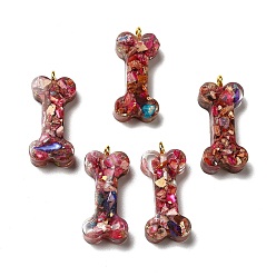 Red Transparent Resin Pendants, Dog Bone Charms, with Natural Opal and Dyed Imperial Jasper, Golden, Red, 27x12x6mm, Hole: 2mm