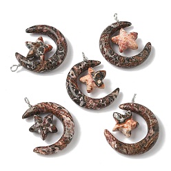 Леопардовая Яшма Натуральные шкуры яшмы из леопарда, луна со звездными чарами, с петлями из медной проволоки, платина, 36~37x27~28x7.5~8 мм, отверстие : 4 мм