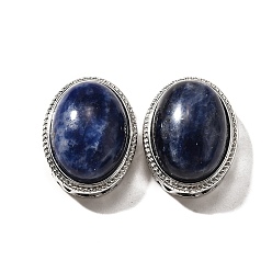 Содалитовое Многожильные звенья природного содалита, овальные, без кадмия и без свинца, платина, 21x16.5x11.5 мм, отверстие : 3 мм