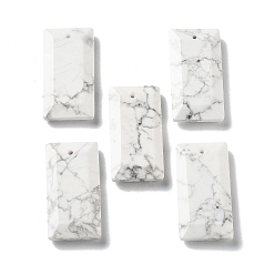 Howlite Natural Howlite Pendants, Faceted Rectangle Charms, 25x13x4~4.5mm, Hole: 1mm