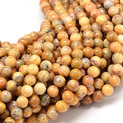 Crazy Agate Natural Crazy Agate Round Bead Strands, 4mm, Hole: 1mm, about 90pcs/strand, 14.9 inch