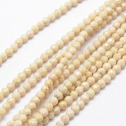 Fossil Natural Fossil Beads Strands, Faceted, Round, 4mm, Hole: 1mm, about 116pcs/strand, 15.5 inch