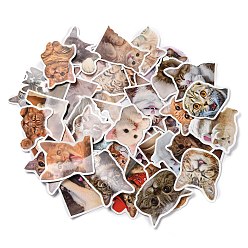 Mixed Color 50 Sheets Paper Cat Stickers, Mixed Color, 32~61x40~60x0.2mm, 50 sheets/bag