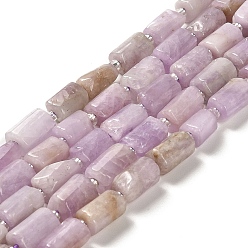 Kunzite Natural Kunzite Beads Strands, with Seed Beads, Faceted, Column, 8.5~11x5.5~6.5mm, Hole: 1mm, about 14~15pcs/strand, 7.48''(19cm)