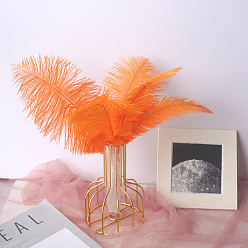 Coral Ostrich Feather Ornament Accessories, for DIY Costume, Hair Accessories, Backdrop Craft, Coral, 200~250mm