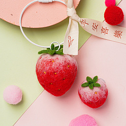 Strawberry Fruit Shape Needle Felting Starter Kit, with Wool Felt and Punch Needles, Needle Felting Kit for Beginners Arts, Strawberry Pattern, 115x85mm