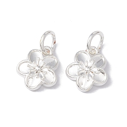 Серебро Наберешь металлизации сплава шармов, с прыжковых колец, долговечный, без кадмия и без свинца, , серебряные, 12x10.5x3.5 мм, отверстие : 4 мм