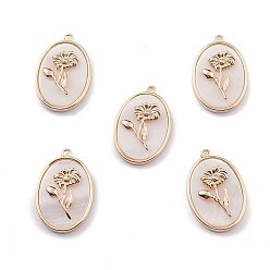 Light Gold Natural Freshwater Shell Pendants, Oval with Flower Charms, with Brass Findings, Light Gold, 27x18x4.5mm, Hole: 1.8mm