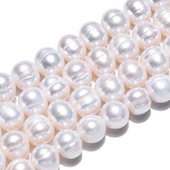 Seashell Color Natural Cultured Freshwater Pearl Beads Strands, Potato, Seashell Color, 7~8.5x7~8mm, Hole: 0.8mm, about 45pcs/strand, 13.39 inch(34cm)