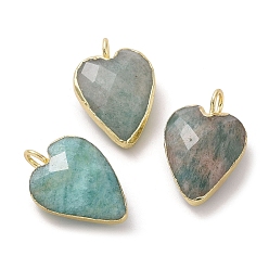 Амазонит Природные подвески амазонит, ограненные сердце прелести, с позолоченными латунными петлями по краям, 18x12x6 мм, отверстие : 2.5~3 мм