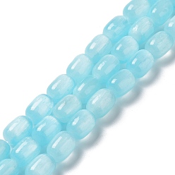 Sky Blue Natural Selenite Beads Strands, Dyed, Drum, Sky Blue, 12x8mm, Hole: 1mm, about 32pcs/strand, 15.51~15.55 inch(39.4~39.5cm)