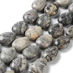 Map Stone Natural Teardrop Map Stone/Picasso Stone/Picasso Jasper Beads Strands, 17.5~18x13x6mm, Hole: 1.2mm, about 22pcs/strand, 15.24 inch(38.7cm)