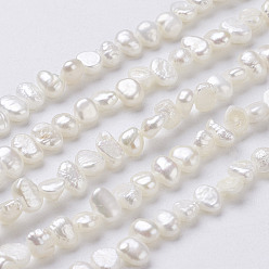 Floral Blanca Hilos de perlas de agua dulce cultivadas naturales, perlas barrocas keshi, dos lados pulidos, blanco floral, 5~7x4~5x3~4 mm, agujero: 0.3 mm, sobre 76~80 unidades / cadena, 14 pulgada