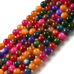 Mixed Color Natural Freshwater Shell Beads Strands, Round, Dyed, Mixed Color, 3mm, Hole: 0.5mm, about 124~132pcs/strand, 14.96''(38cm)