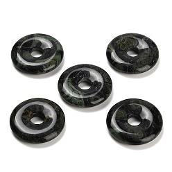 Яшма Камбаба Подвески из натуральной камбабы с яшмой, подвески в виде пончиков/пи-дисков, 30x6.5 мм, отверстие : 7.5 мм