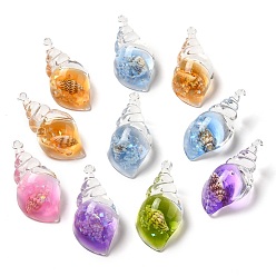 Mixed Color 10Pcs Transparent Resin Conch Shell Pendants, Conch Charms with Natural Shell Inside, Mixed Color, 39x19.5x15mm, Hole: 1.8mm