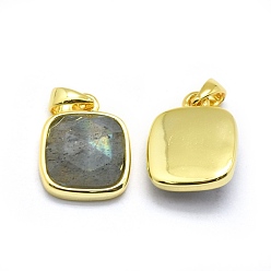 Labradorite Natural Labradorite Pendants, with Golden Tone Brass Findings, Square, Faceted, 13x11x5mm, Hole: 3.5x5.5mm