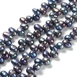 Prussian Blue Natural Cultured Freshwater Pearl Beads Strands, Rice, Dyed, Prussian Blue, 7~9x6~7mm, Hole: 0.7mm, about 58~59pcs/strand, 13.78~13.94''(35~35.4cm)