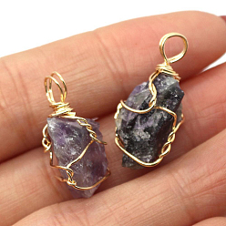 Amethyst Raw Rough Natural Amethyst Pendants, Nuggets Charms with Golden Plated Copper Wire Wrapped, 18~30x12~22mm