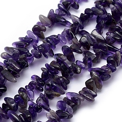 Amethyst Natural Amethyst Beads Strands, Chip, 12~18x5~8mm, Hole: 1mm, 15.3 inch(39cm)