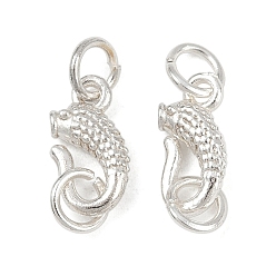 Посеребрённый Латуни крюка и S-крючок застежки, без кадмия и без свинца, рыба, с целью перехода в кольце, 925 серебро покрытием, 11x5.5x2.5 мм, отверстие : 3.4 мм