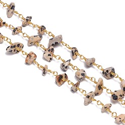 Jasper Handmade Natural Dalmatian Jasper Beaded Chains, Unwelded, with Brass Findings, with Spool, Chips, Golden, 6~12x4~9mm, about 32.8 Feet(10m)/roll