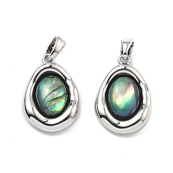 Платина Подвески из латуни из натуральных ракушек паве, овальные амулеты, платина, 18.5x13x4 мм, отверстие : 4x3 мм