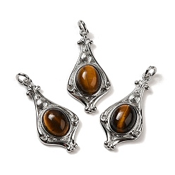 Tiger Eye Natural Tiger Eye Pendants, Teardrop Charms with Rack Plating Platinum Tone Brass Findings, Cadmium Free & Lead Free, 30x14.5x5.7mm, Hole: 2.7mm