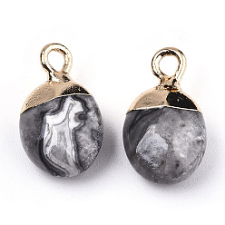 Map Stone Natural Map Stone/Picasso Stone/Picasso Jasper Charms, Top Light Gold Plated, with Iron Loop, Oval, Faceted, 14~15x8x5mm, Hole: 1.8mm