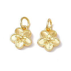 Настоящее золото 18K Наберешь металлизации сплава шармов, с прыжковых колец, долговечный, без кадмия и без свинца, , реальный 18 k позолоченный, 12x10.5x3.5 мм, отверстие : 4 мм