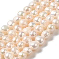 Linen Natural Cultured Freshwater Pearl Beads Strands, Two Sides Polished, Grade 4A, Linen, 6.5~7x6.5~8x6~6.5mm, Hole: 0.6mm, about 52~53pcs/strand, 13.58~13.78''(34.5~35cm)
